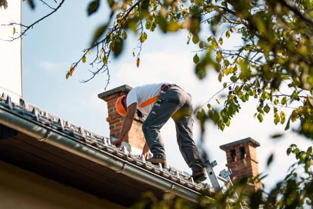 Roof Gutter Cleaning in Iron Mountain, MI