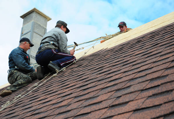 Best Roof Restoration Services  in Iron Mountain, MI